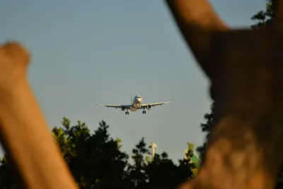 DSC_5718 (Large).JPG